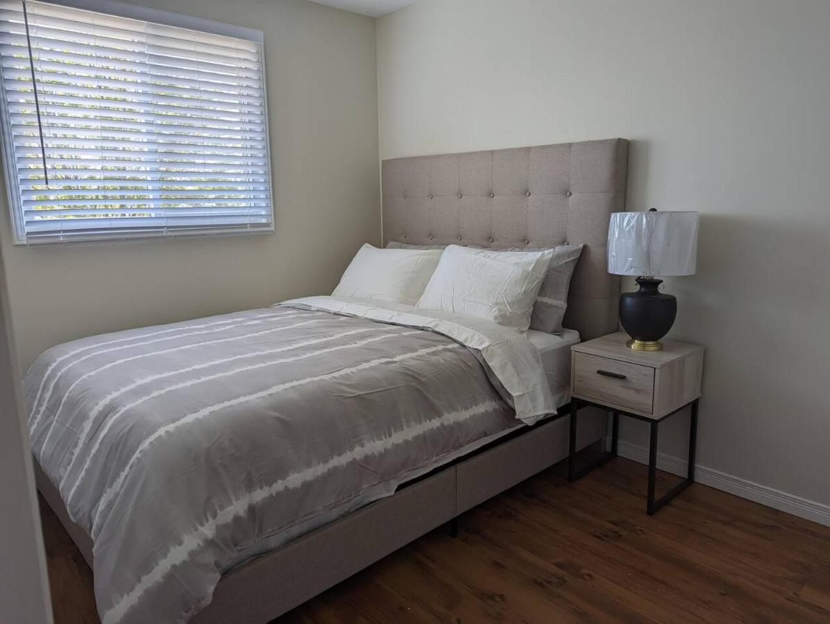 Adorable 4 Bed,3 Bath House Villa Kingston Luaran gambar
